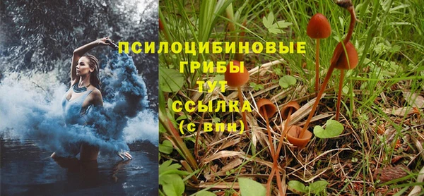 бошки Балахна