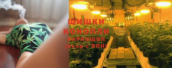 бошки Балахна